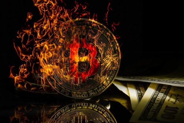 imtoken官网 学者警告：比特币或在不久后消失，价格波动且面临新竞争